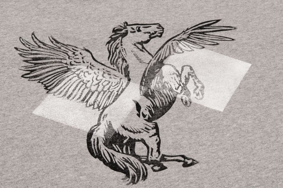 #190 - Men’s T-Shirt Pegasus